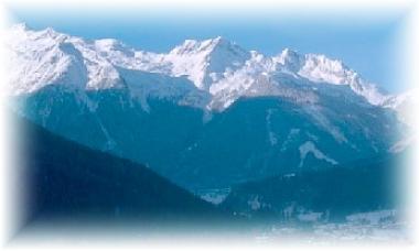 Oberpinzgau - Wald im Pinzgau